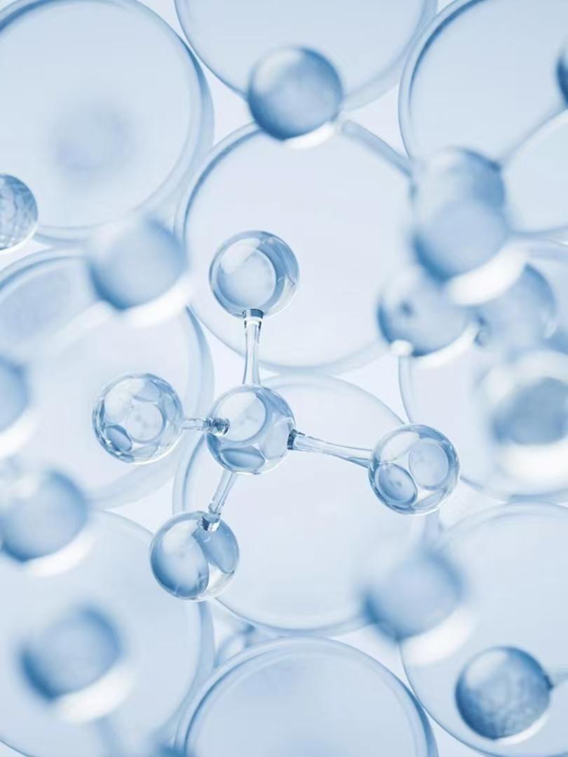 (LC553)SUPER SHRED L-Carnitine  400mg MIC BLEND  100mg ATP  50mg Albuterol  2mg B12 1mg