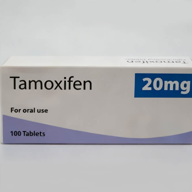 (T20)Tamoxifen,  or Nolvadex